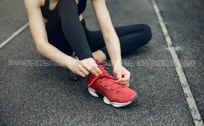 南宫系列,十年领导品牌